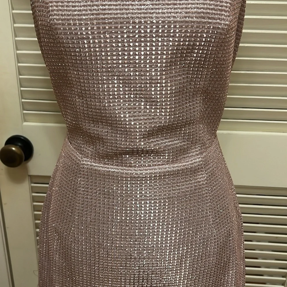Lulus Earned Your Win Metallic Lace-Up Mini
Dress in Pink, Size Medium, NWT - Picture 5 of 17